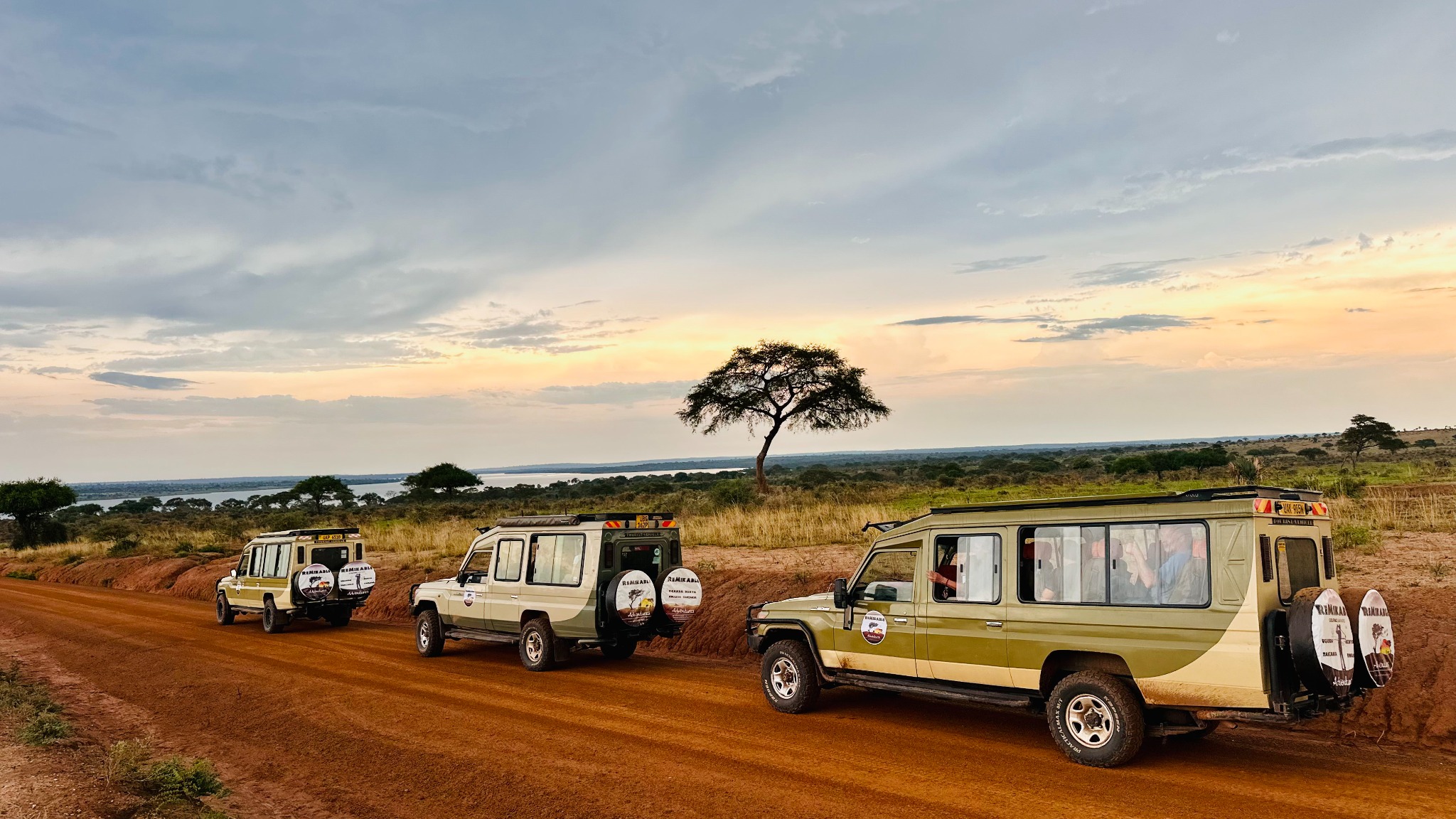 Guests enjoying a safari picnic beside a safari vehicle